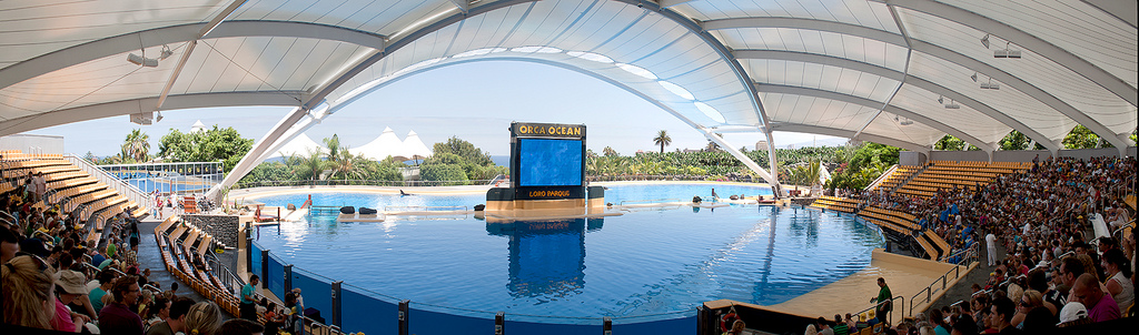 ���� ����: ����� ��� ��� �������