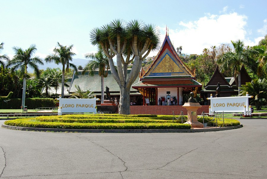 ���� � ����� ����