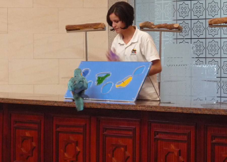 ���� ����: ��� ��������