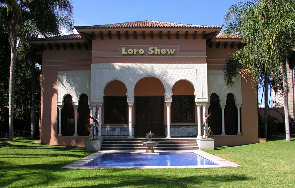 ���� ����: ��� ��������