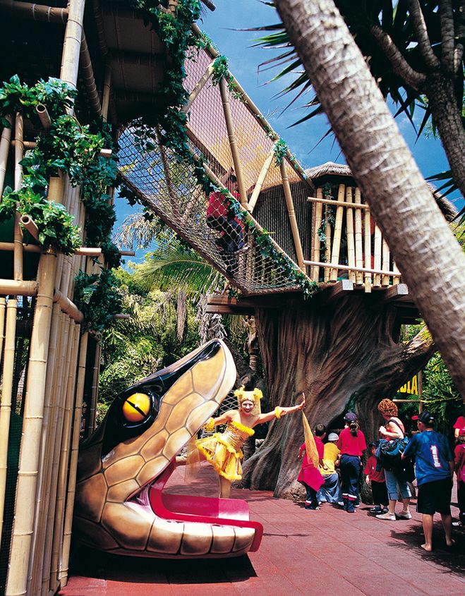 ���� ����: ��������������