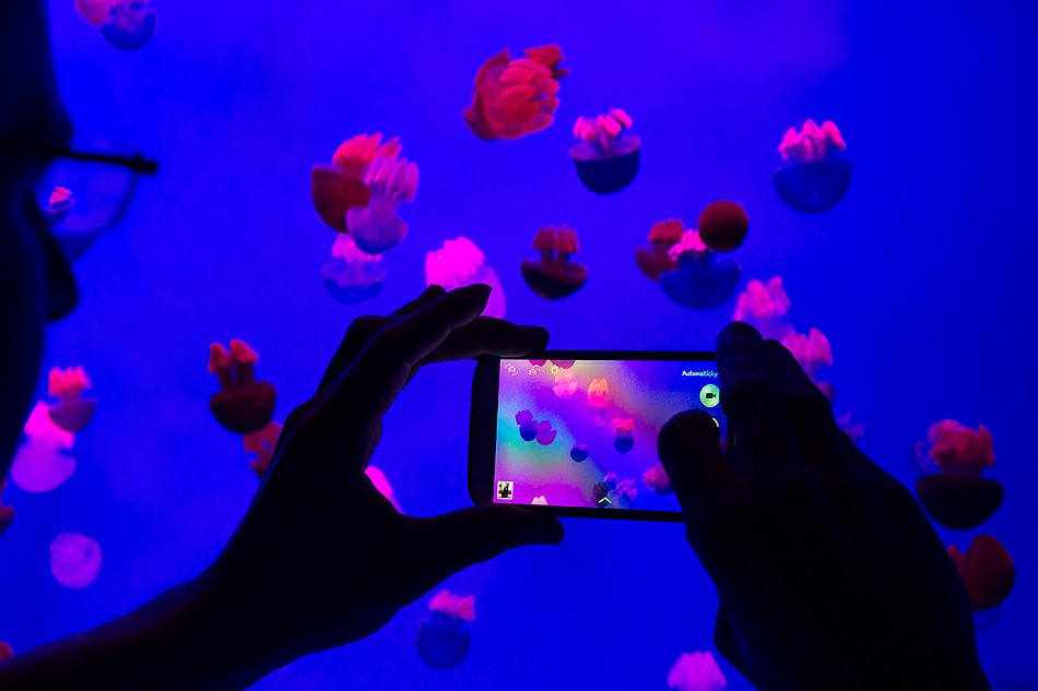 ���� ����: �������� � ��������