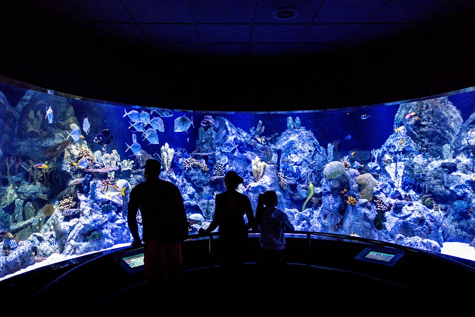 �������� � ���� �����