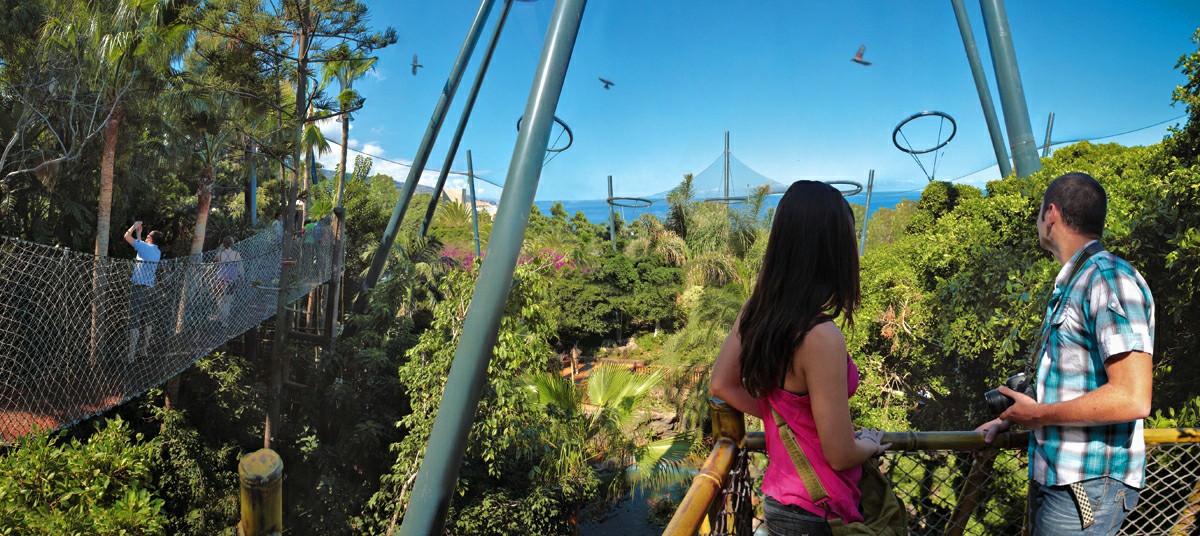 ������ � ������� ��������� �������