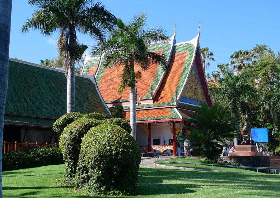 ���� ���� �� ��������