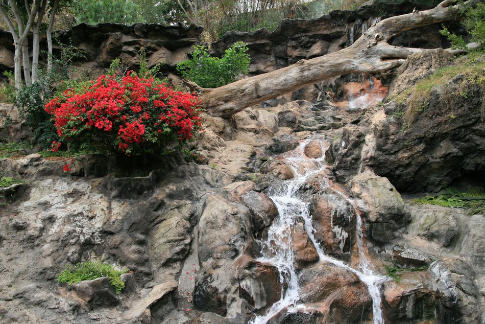 ���� ����: ������ ������