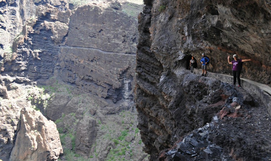 ������ � ������ ��� ��������