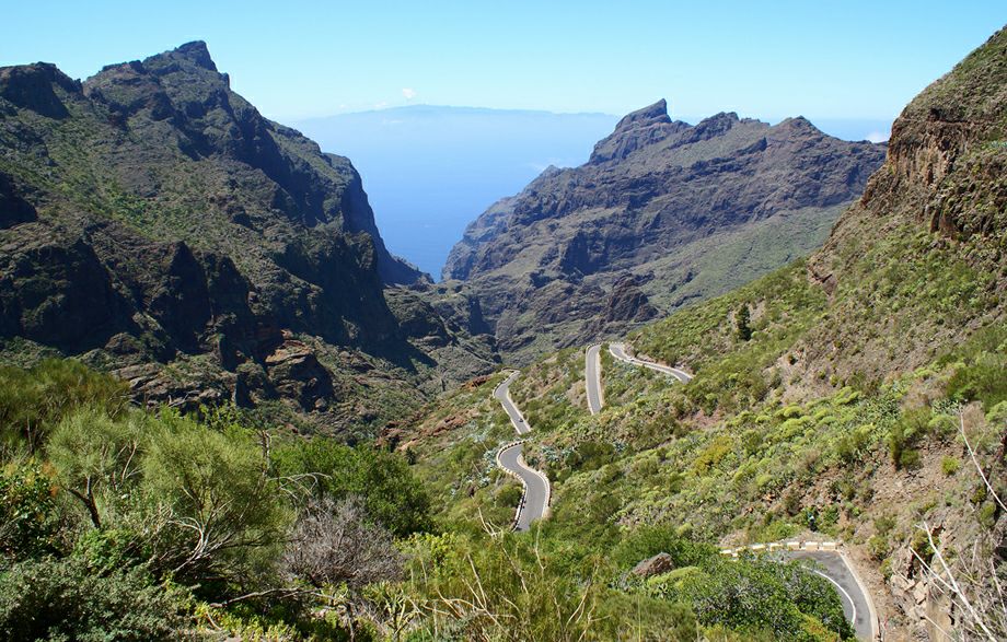 ������ TF-436 � ������� �����