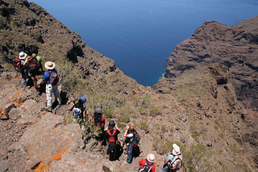 ������ �������� ���������� �� ������ �����