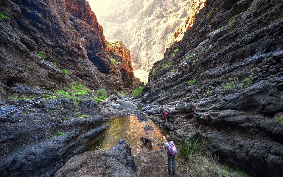 � ������ �����