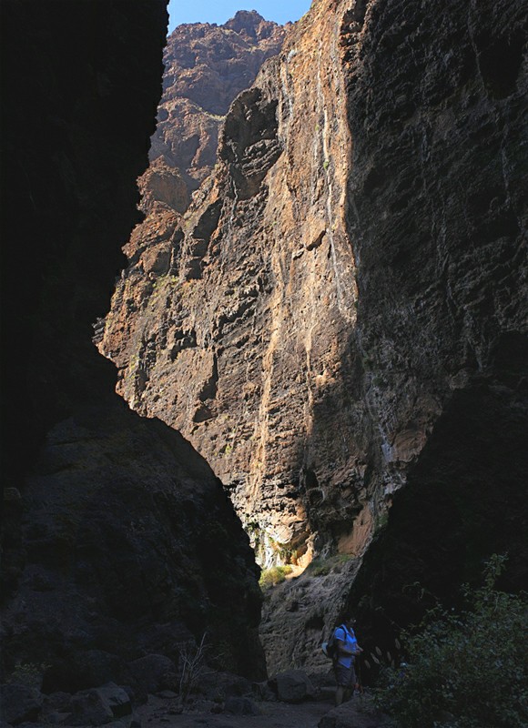 ����� �� ������ �����