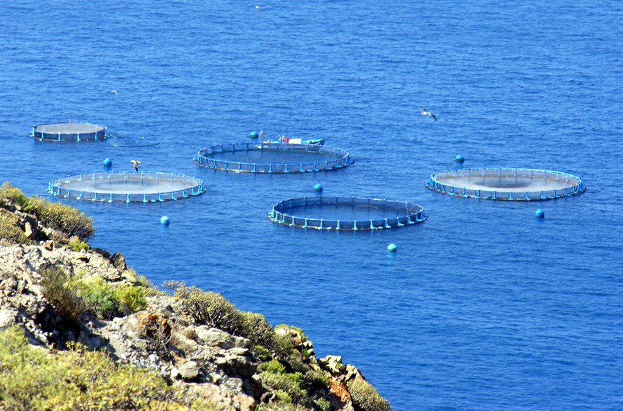 ������� �� �������� � ������