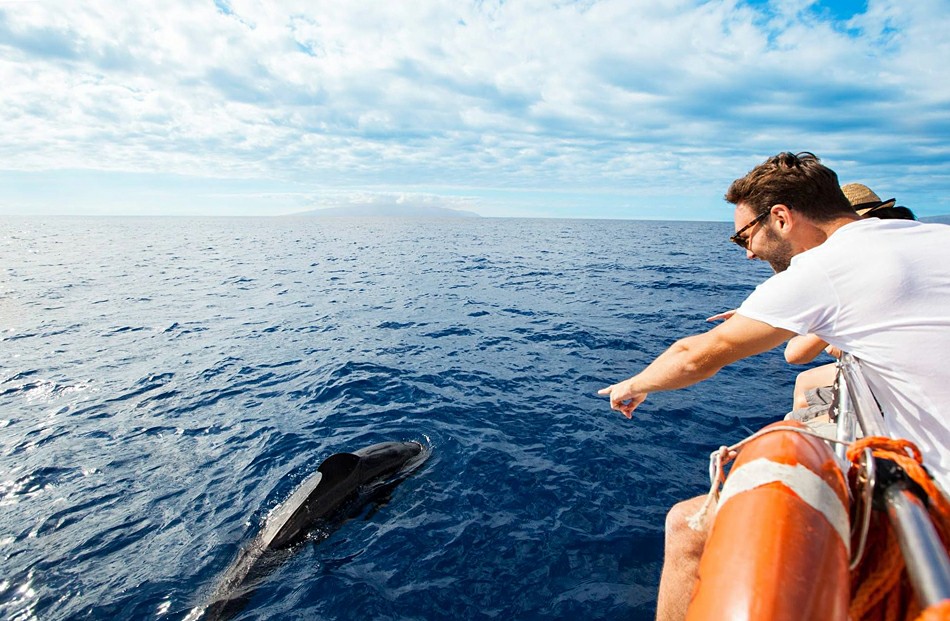 ����-������ � ������� ��������