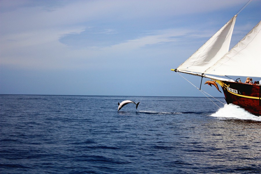 ������� �������� �� ��������: ������� � ����������