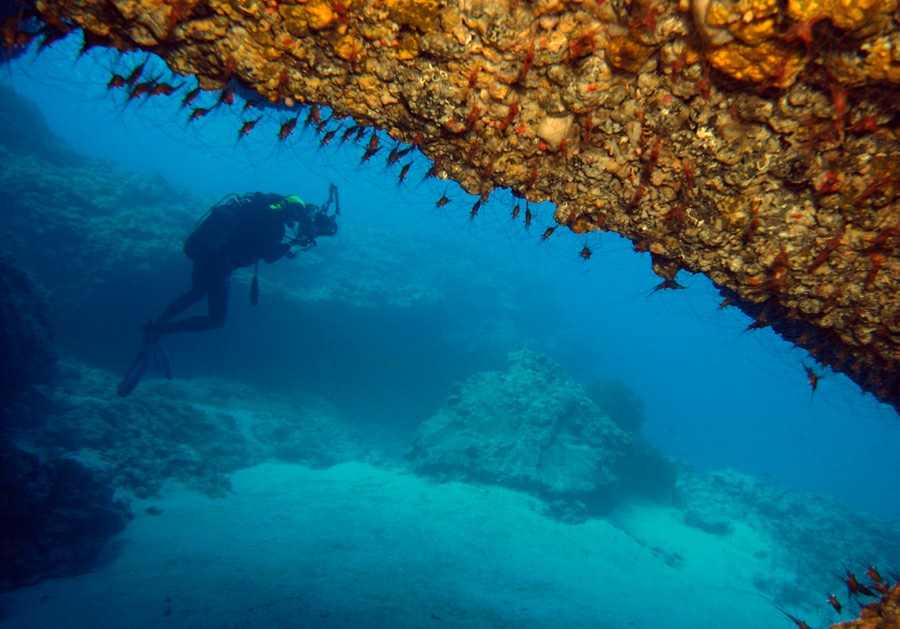 ������� �� ��������