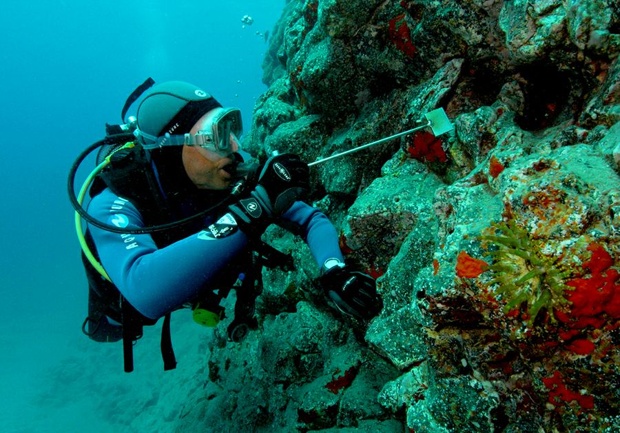 ������� �� ��������