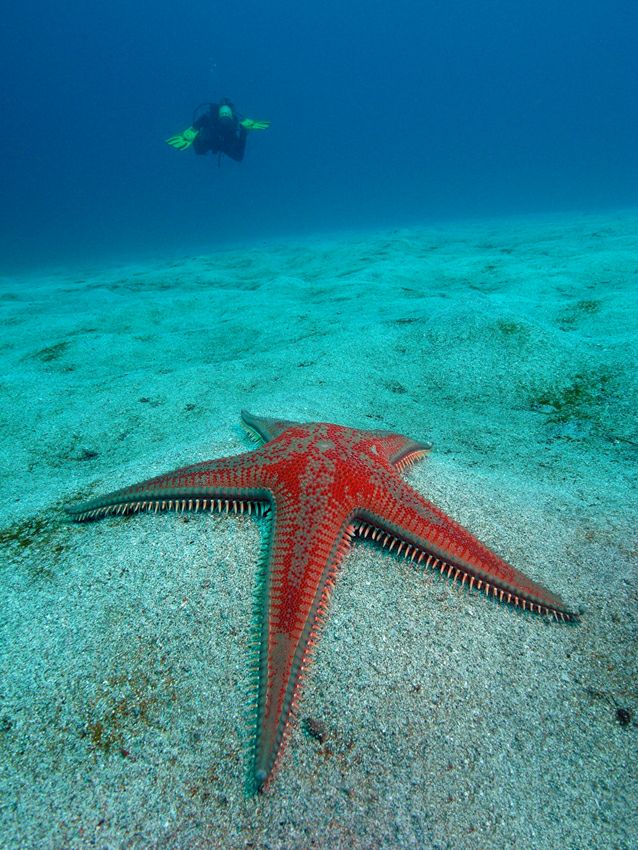 ������� �� ��������