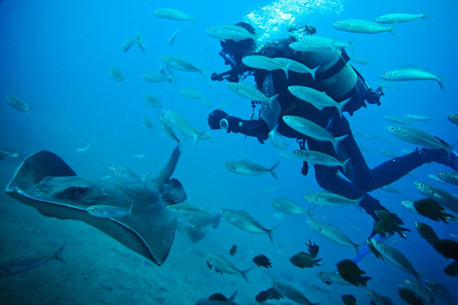 ��������� ����� �� ��������