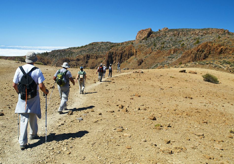 �������� ��� ��������