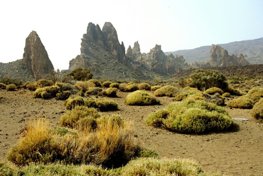 �������������� � ��������