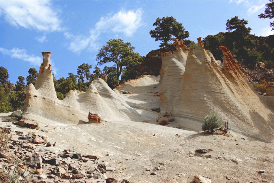 ������ ������