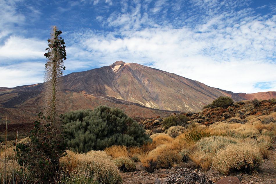 ����� ����������