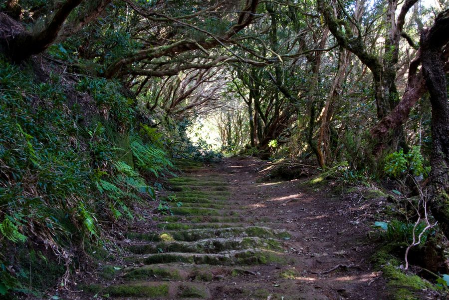 ����������