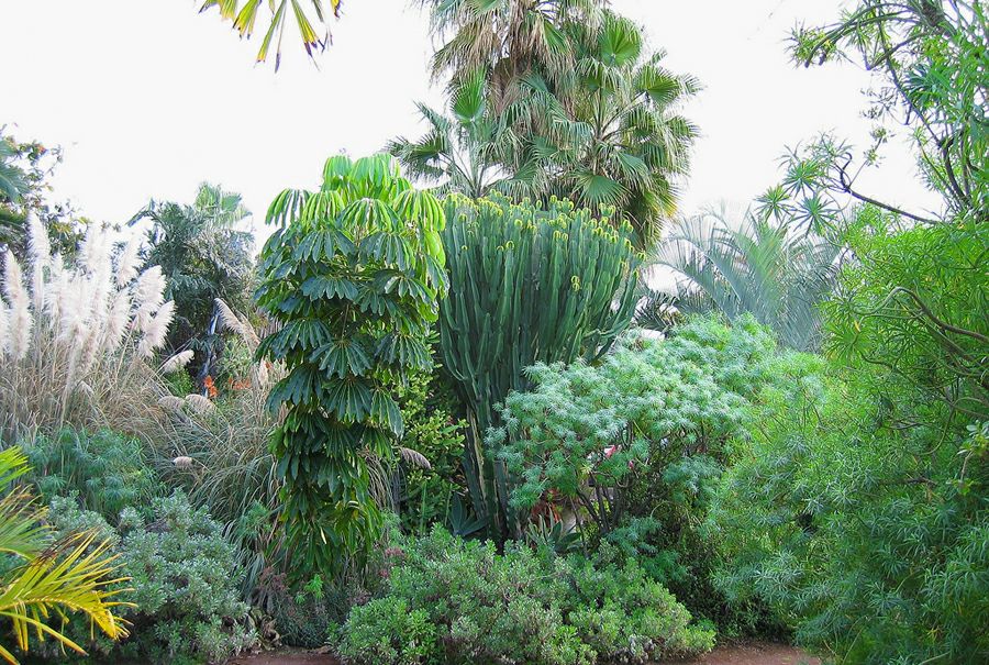 ���� � ������ �� �� �����