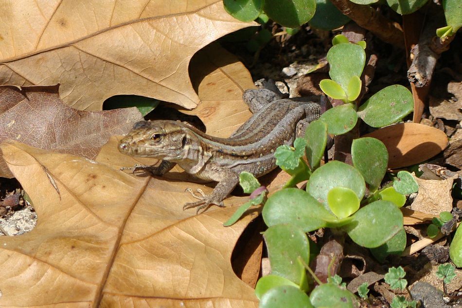 ������� �� �������� ����� �����