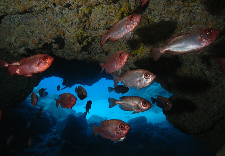 ��������� ������