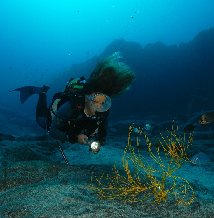 ������� ���������