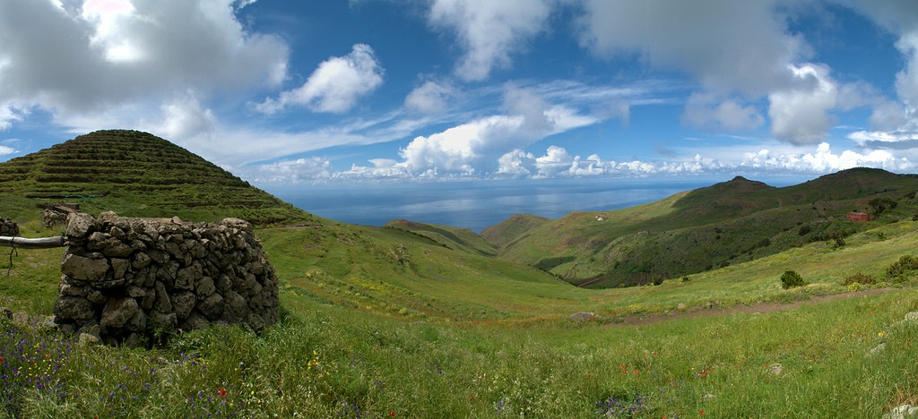 ������� ��� �� ������-������� ������� (�����)