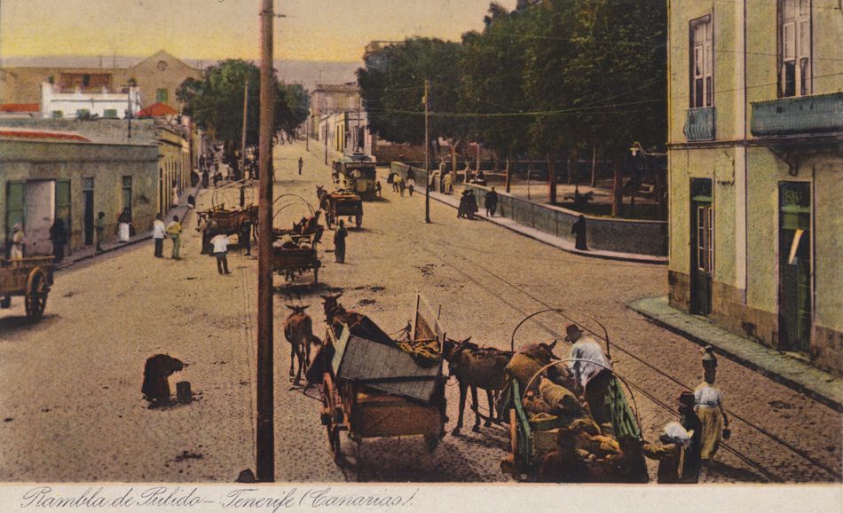 ������� �������� � �����������