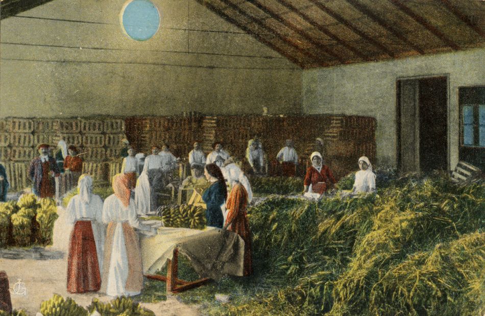 ������� �������� � �����������