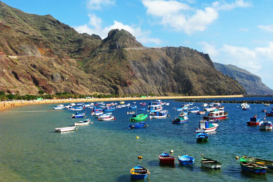 ���� ��������: ���� ��� ���������