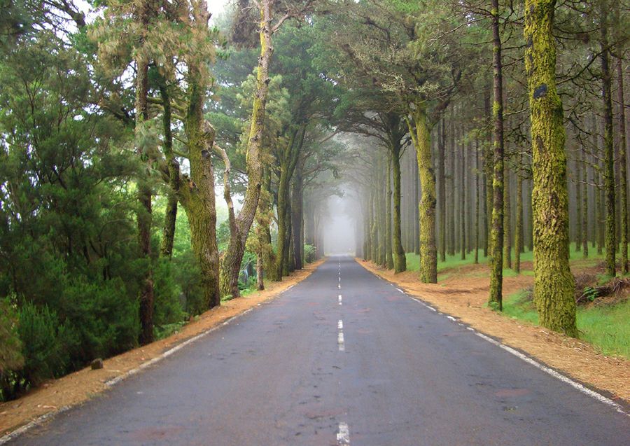 ���� ��������: ��� ���������