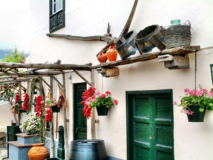 ���� ��������: �������� �������