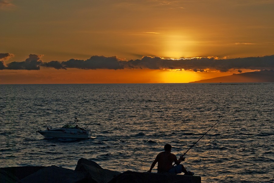 ���� ��������: �����