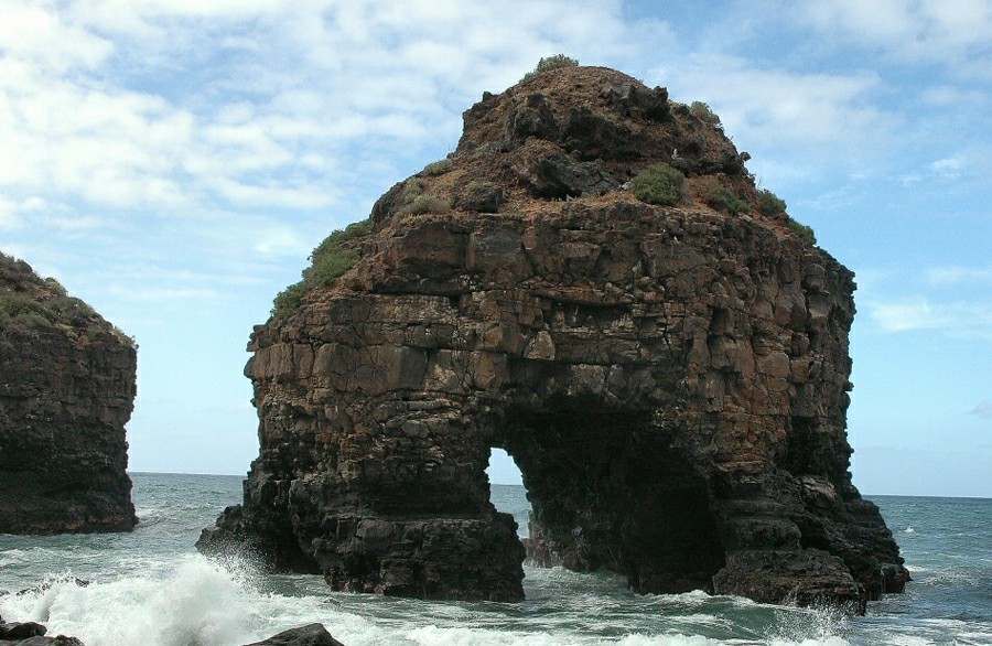 ���� ��������: �����