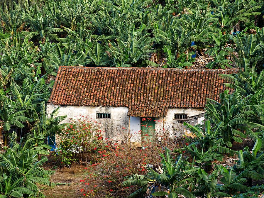 ���� ��������: ��������� ���������