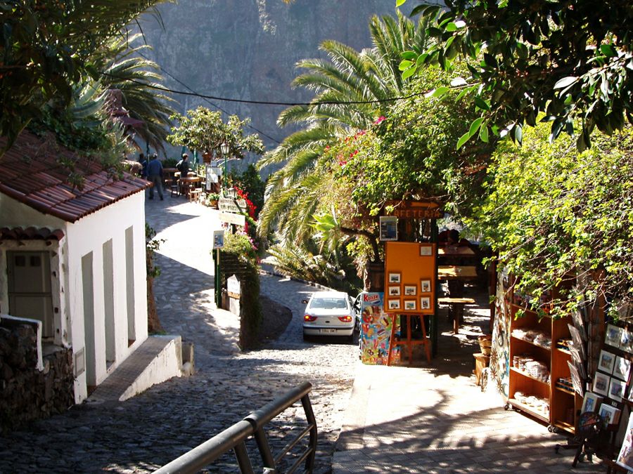 ���� ��������: �����