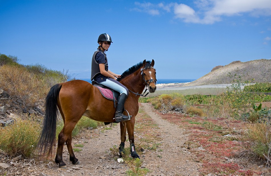 ���� ��������: �������� ������