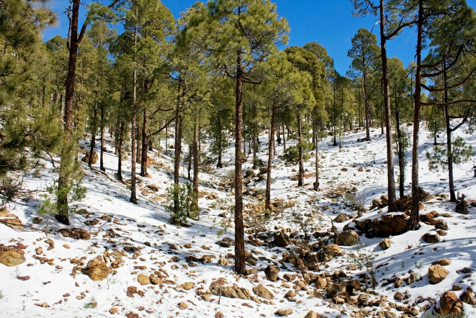 ���� ��������: ��� � �����