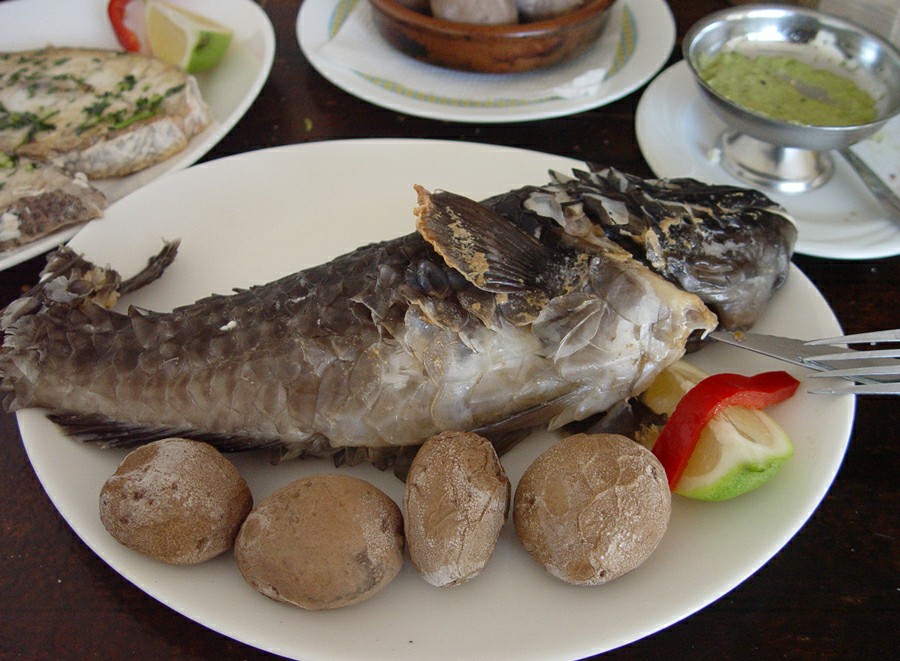 ���� ��������: �����