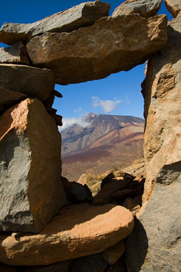 ���� ��������: ������ �����